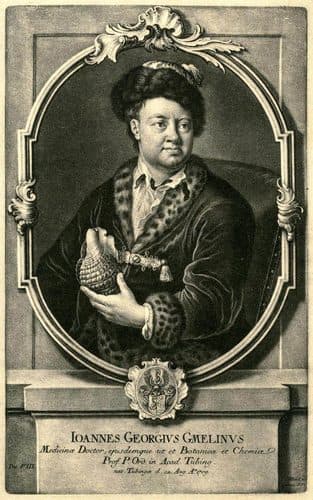 JJ Haid nach WD Majer - Johann Georg Gmelin (Schabkunst 1760) — Mezzotint