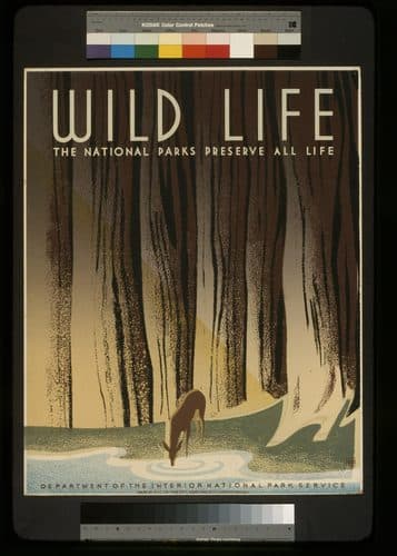 Preservewildlife — Screen Printing