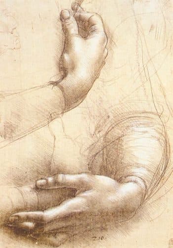 Sheet of Studies of Hands and Armslabel QS:Lfr,"étude de mains de femme"label QS:Les,"Estudio de manos"label QS:Len,"Sheet of Studies of Hands and Arms"label QS:Lde,"Studie von Frauenhänden"label QS:Lit,"Studio di mani"label QS:Lnl,"Studie van vrouwen handen" — Silverpoint