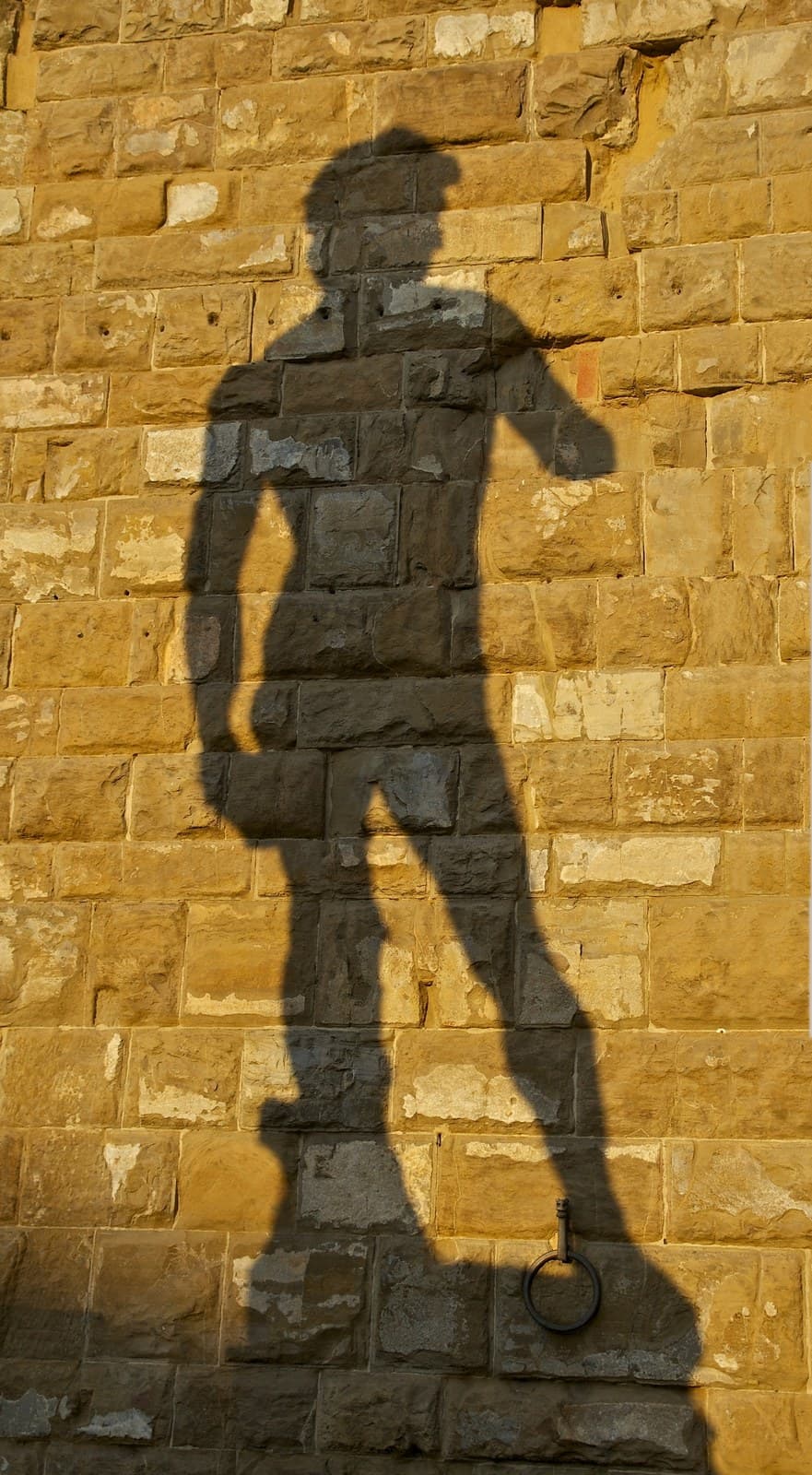 Shadow David Michelangelo cropped — Stone Carving