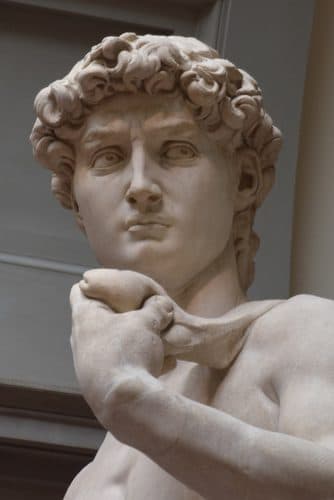 Michelangelo David crop — Stone Carving