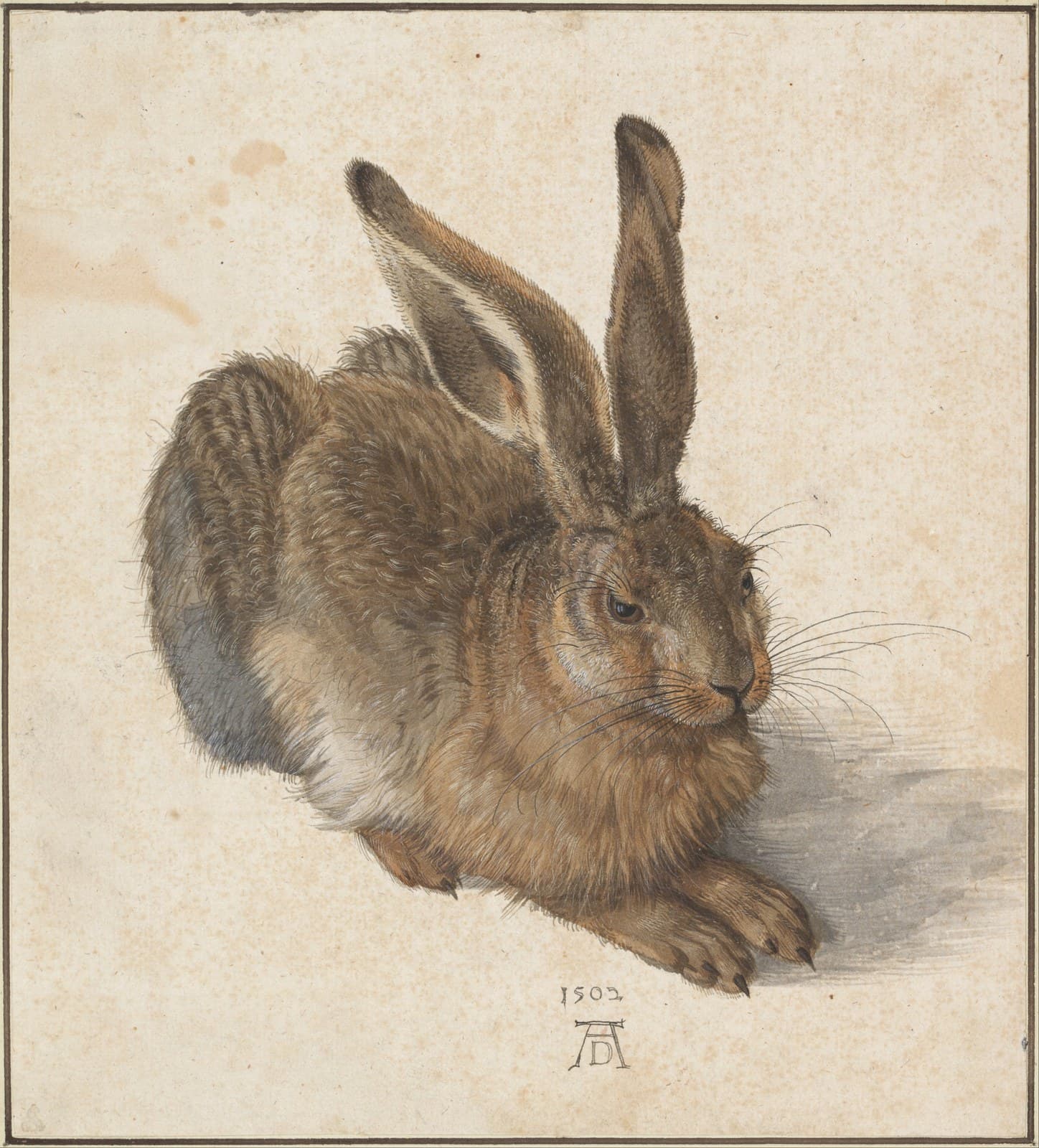 German:  Feldhase Young Haretitle QS:P1476,de:"Feldhase "label QS:Lde,"Feldhase "label QS:Les,"Liebre joven"label QS:Lyue,"兔仔 (丟勒)"label QS:Lfr,"Le Lièvre"label QS:Lru,"Заяц (Дюрер)"label QS:Lhy,"Նապաստակ"label QS:Lsl,"Kunec (Dürer)"label QS:Luk,"Заєць"label QS:Lel,"O λαγός"label QS:Lsv,"Fälthare"label QS:Lpl,"Młody zając (Dürer)"label QS:Lhe,"ארנבת צעירה"label QS:Lnl,"Haas"label QS:Lmk,"Зајак (Дирер)"label QS:Lbn,"ইয়াং হেয়ার"label QS:Lko,"어린 토끼"label QS:Len,"Young Hare"label QS:Leo,"Leporo" — Watercolor